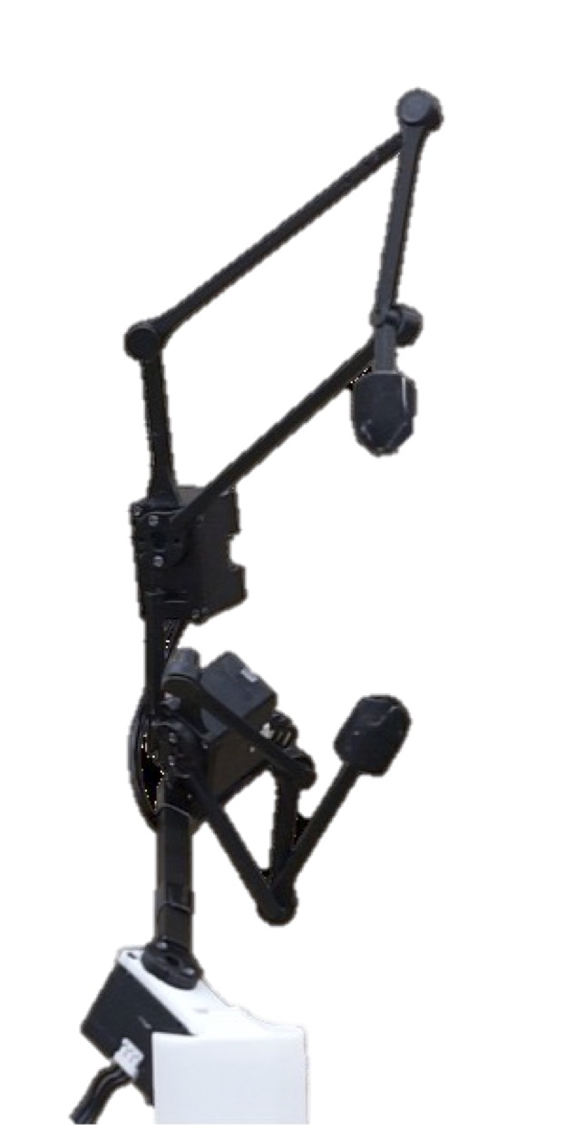 Attach motor to generated hand